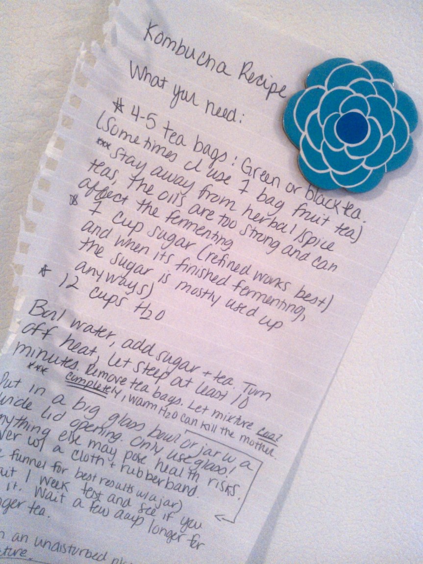 Kombucha Homebrew
