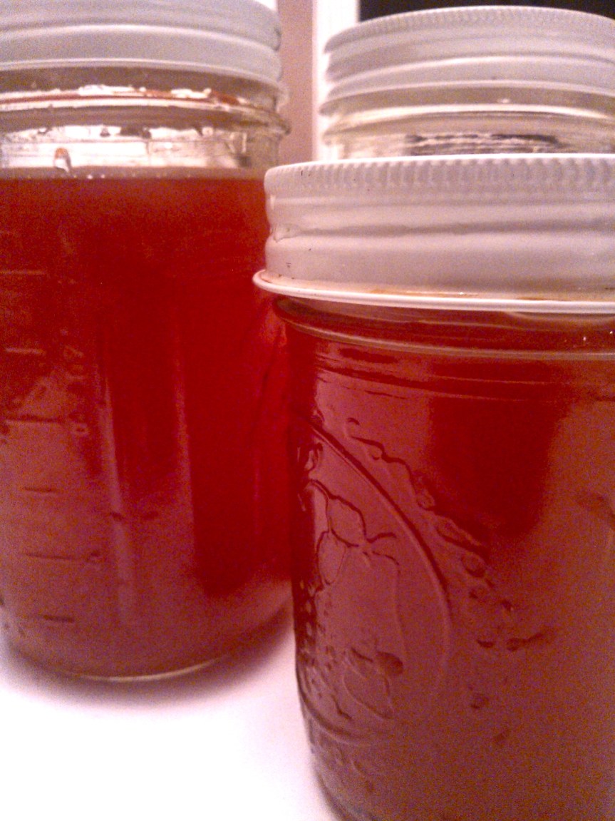 Kombucha Homebrew Update