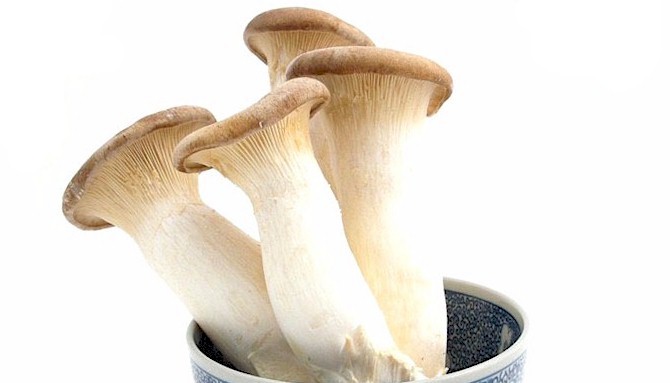 King Oyster Mushroom