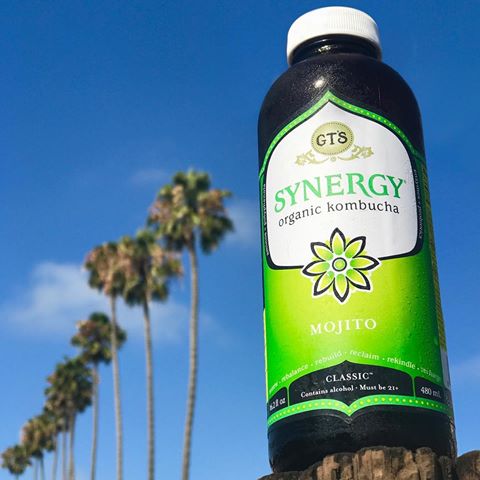 GT's Mojito Kombucha